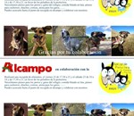 Recogida de alimentos  para  Protectora  de  Animales Burgos