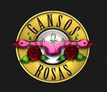 Gansos rosas