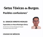 Setas Toxicas de Burgos. Posibles Confusiones