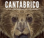 Cantábrico (los dominios del oso pardo)