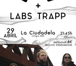 Wolf + Labs Trapp
