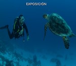 Azul XV años de fotografía subacuática