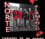 Norte flamenco