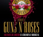 Gansos Rosas (Tributo a Guns N Roses)