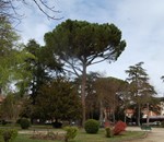 “Paseo por jardines terapéuticos de la ciudad de Burgos”.