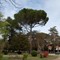 Itinerario: “Paseo por los jardines terapéuticos de Burgos” en Oficina Verde de la UBU, Burgos
