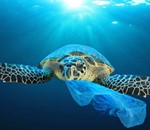Cine Ambiental: “Un Océano de plástico”