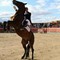 Exhibición de caballos "Duende ecuestre" en Coliseum Burgos, Burgos