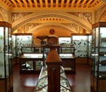 Visita: "Museo de Ciencias Naturales López de Mendoza"