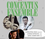 Concertus Ensamble